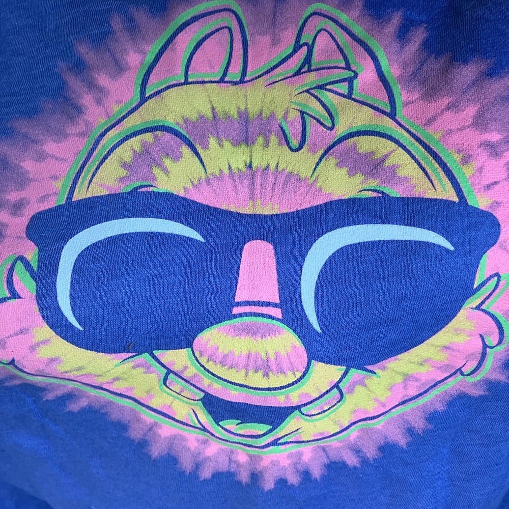 Disney Chipmunk Hoodie